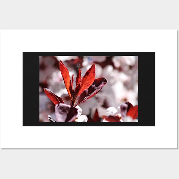 Japanese Cherry Tree (#3) Wall Art by photoclique